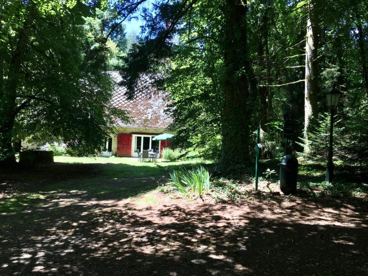 Gites Chateau Le Bois Saint-Julien-aux-Bois Exterior photo